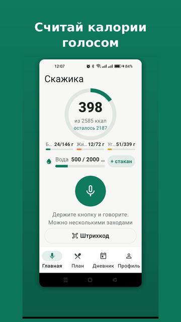 Главный экран приложения Скажика